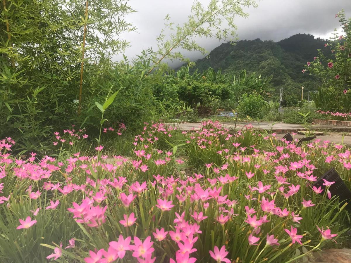 香蕉與黑膠 Yellow And Black Guest House Mei-nung Екстер'єр фото